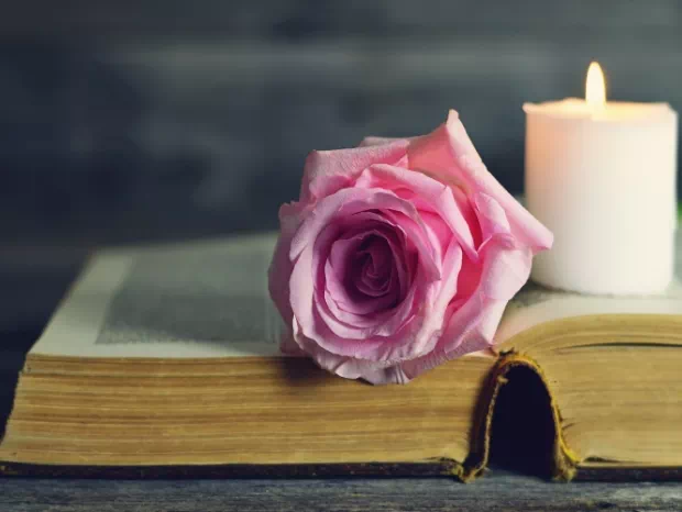 różowa róża i świeczka na książce